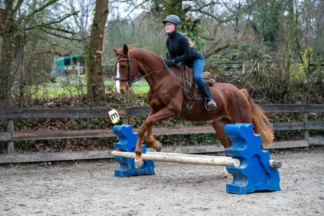 Reitclub Kronberg e.V. - Foto 1