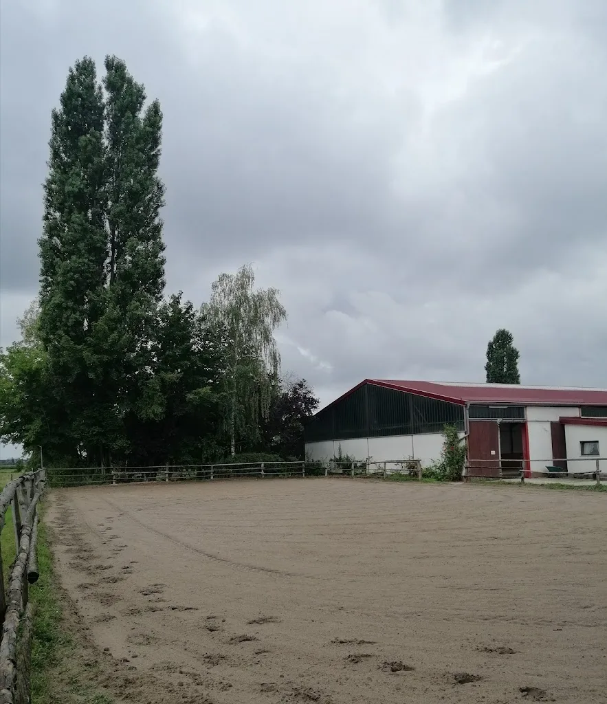 Reitanlage Betz - Foto 2