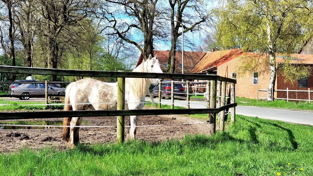 Hof Jürgens - photo 3