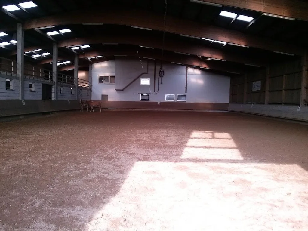 Reitanlage Feeser - photo 2