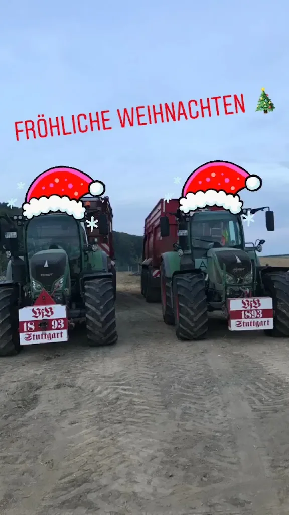 Reitanlage Feeser - photo 3