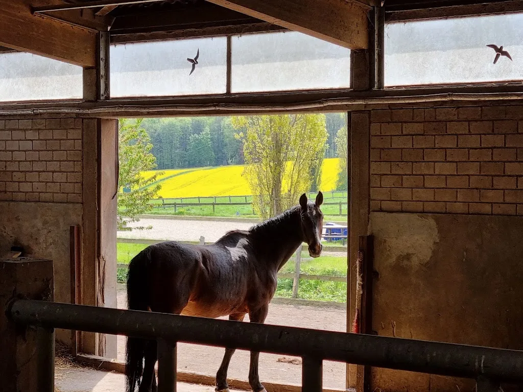 Gut Bentgerhof - photo 2
