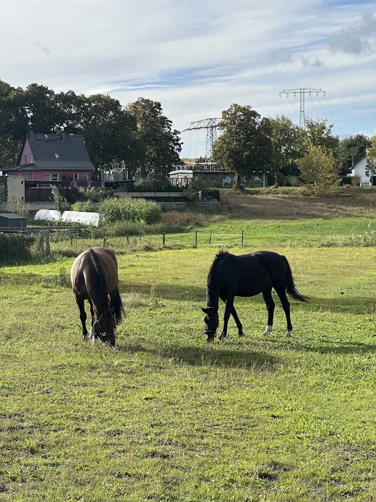 Pferdestall - Foto 2