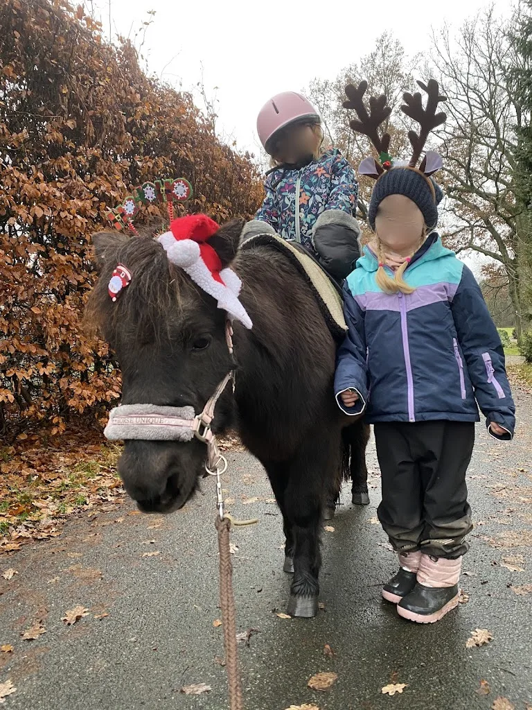 Partnerpferde - Reittherapie & Ponyspaß - photo 1