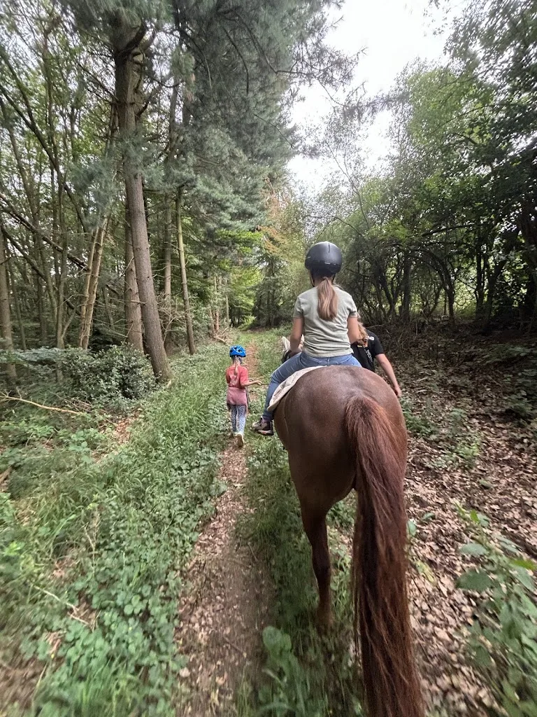 Sonjas Ponyhof - Foto 2