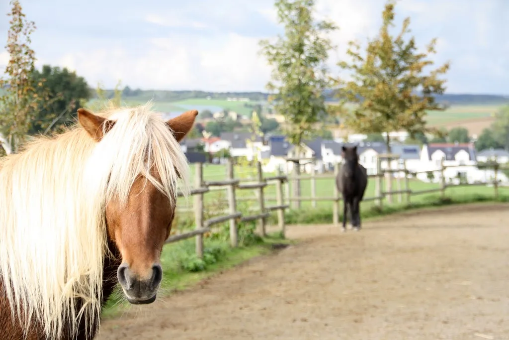 Reitstall Löflad - photo 1
