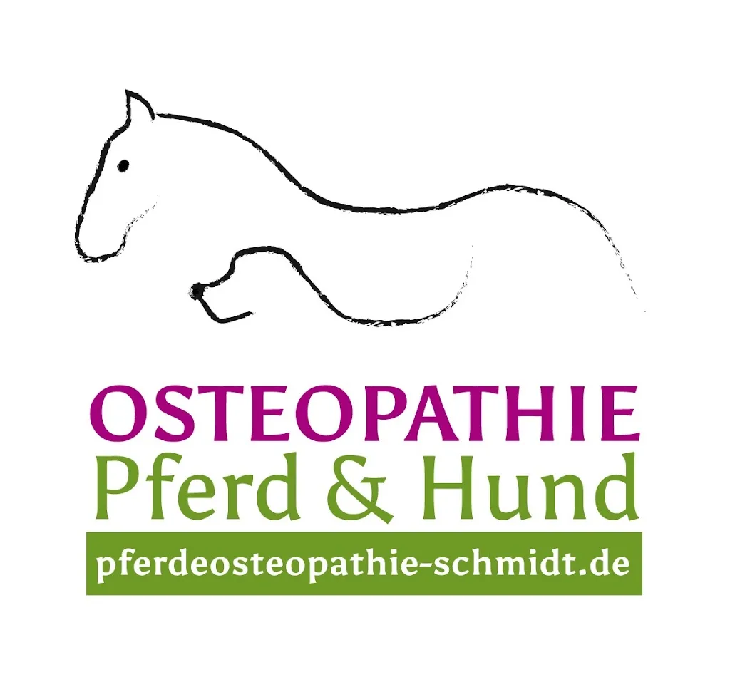 STALLGUT- Pferdeosteopathie- Horsemanship- Urlaub mit Pferd - Foto 2