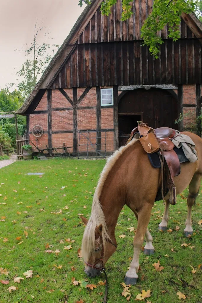 STALLGUT- Pferdeosteopathie- Horsemanship- Urlaub mit Pferd - Foto 3