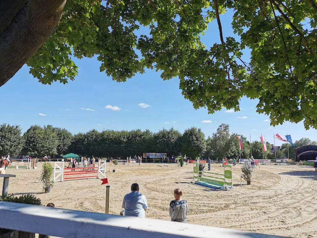 Ponyschule Klein - Foto 3