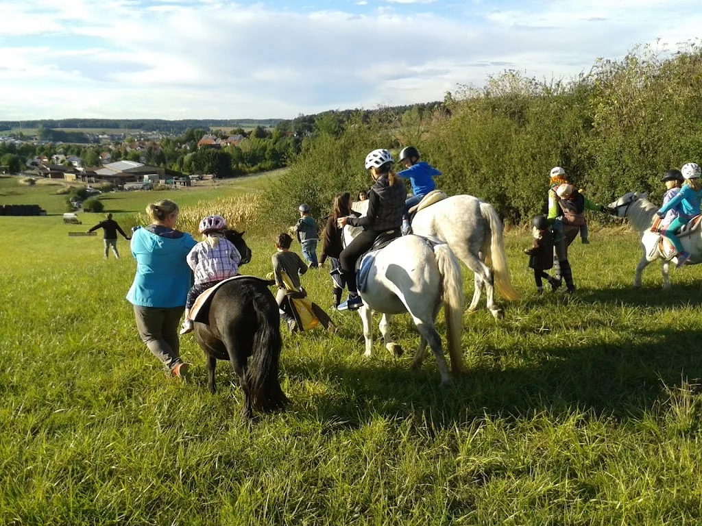 Aktiv-Reitanlage Mainburg - photo 1