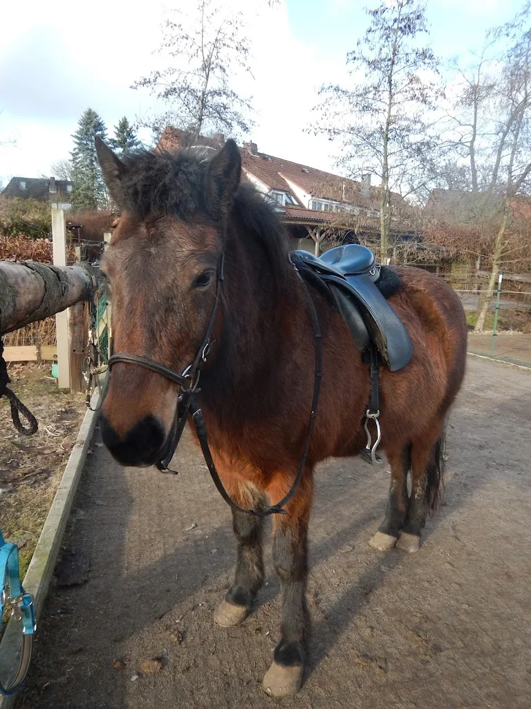 Reepshof - Foto 1