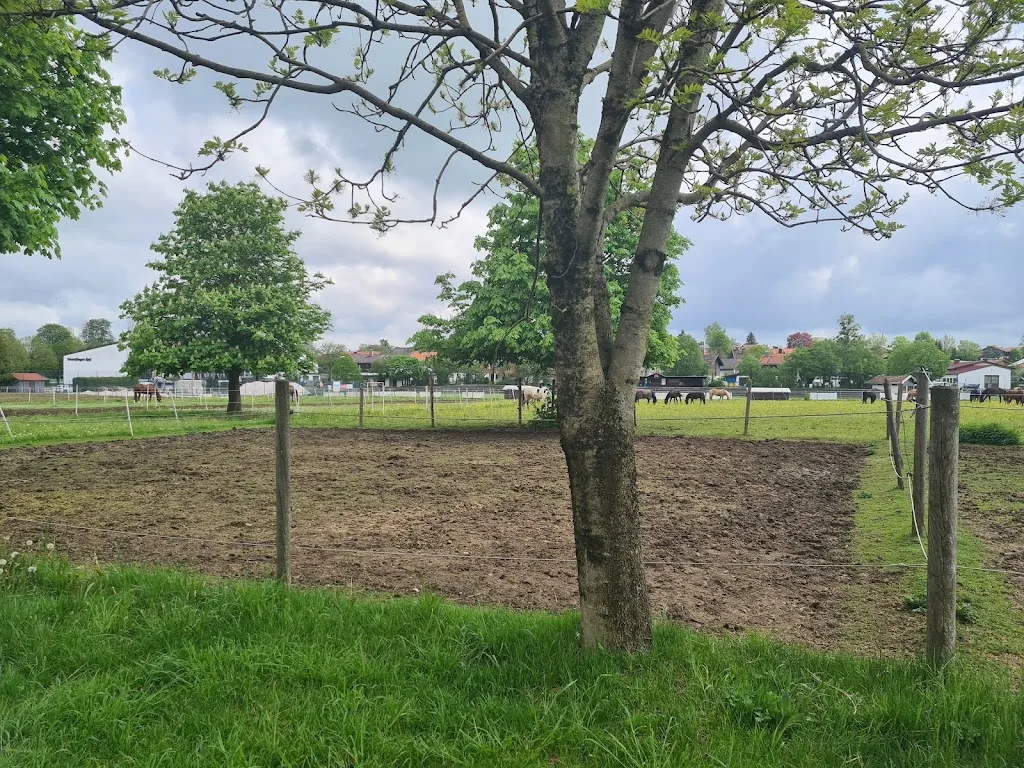 Reitsportanlage Otterfing - Foto 1