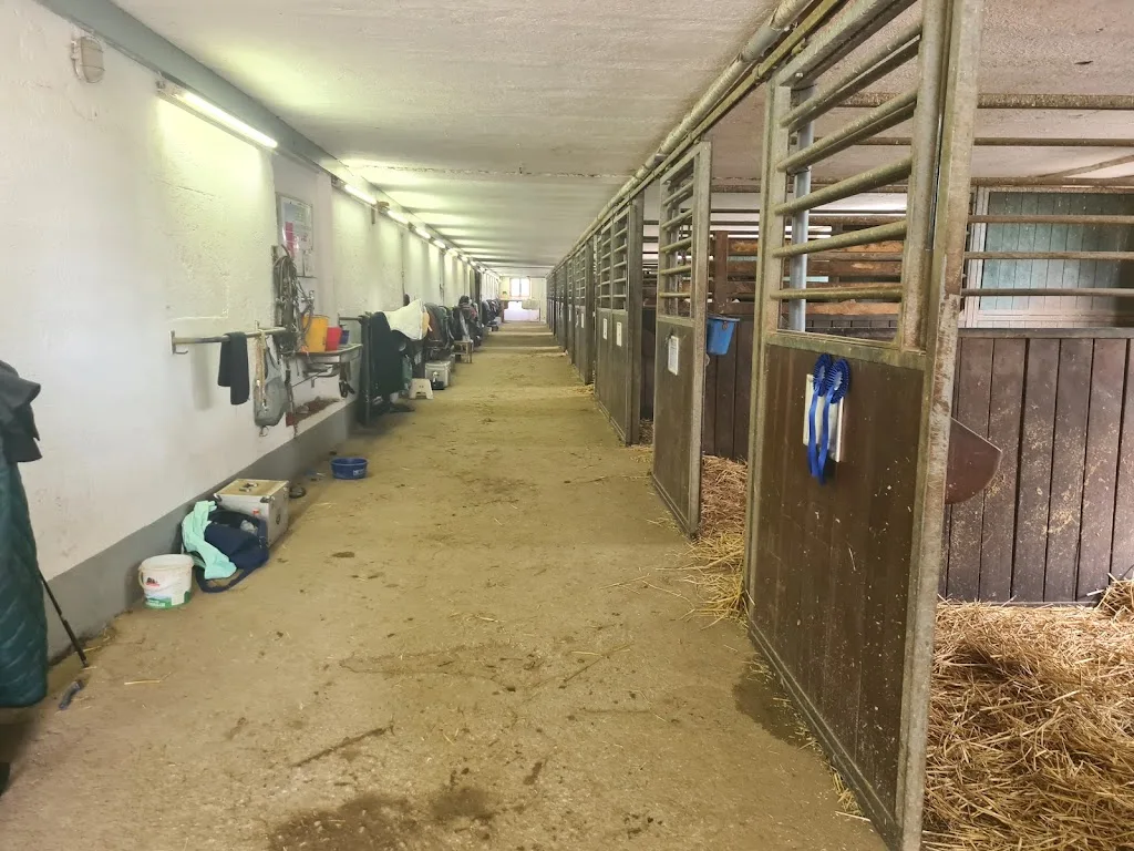 Reitsportanlage Otterfing - Foto 2