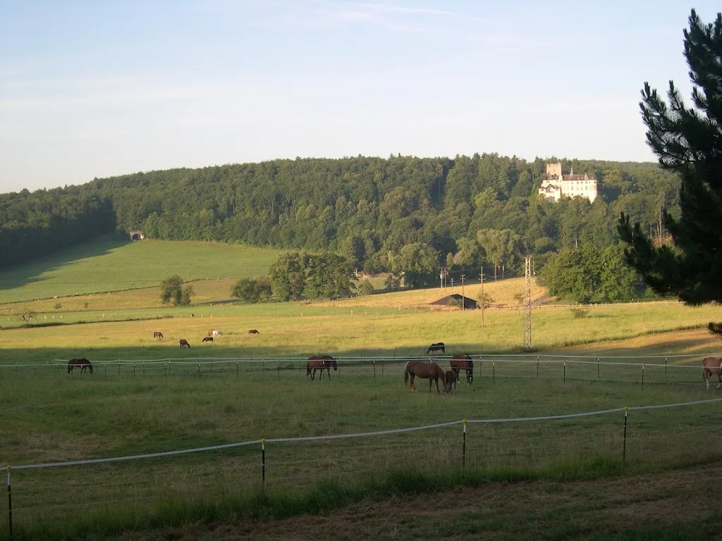 Landwirtschaftlicher Betrieb Birkenhof - photo 1