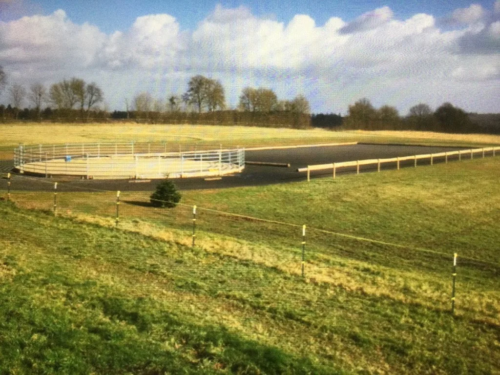 Sandhof - Foto 1