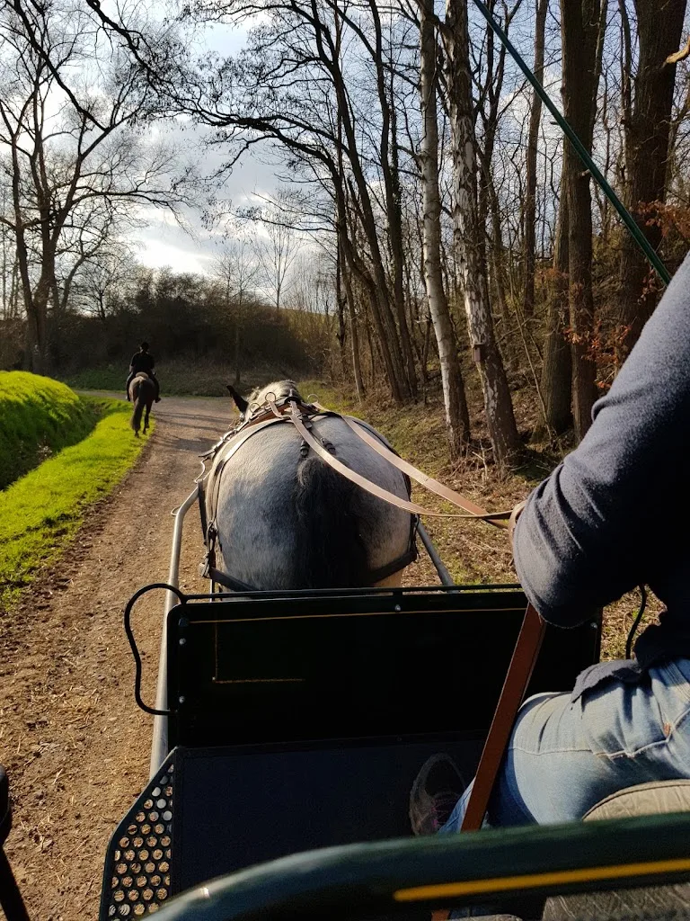 Ponyhof Vogt - Foto 3