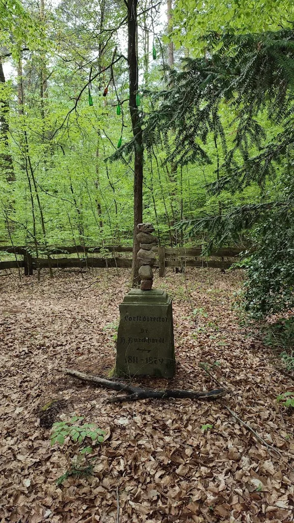 Hof Steineke - photo 1