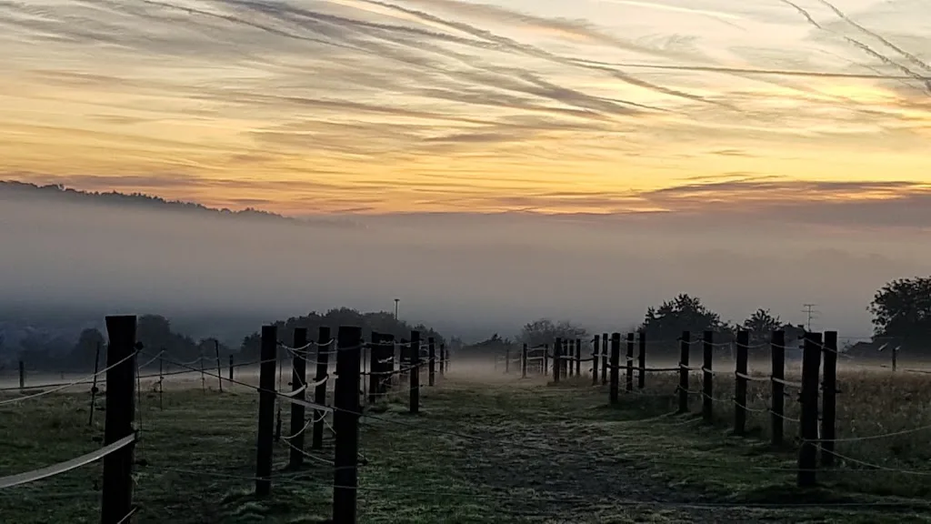 Reitstall Meier - Huiznhof - Foto 1