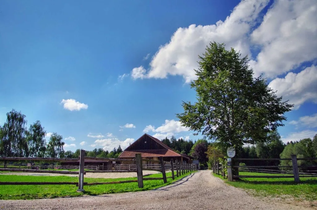 Reitstall Meier - Huiznhof - Foto 3