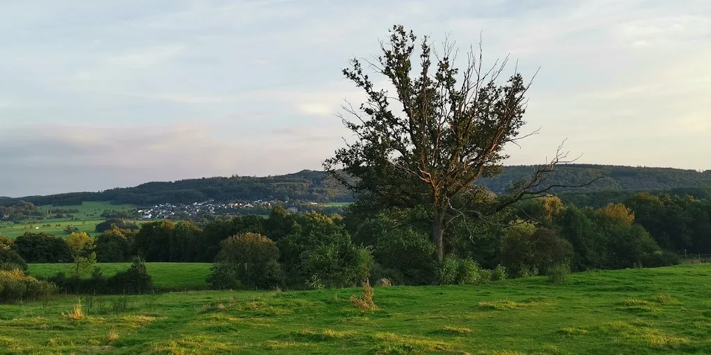 Gestüt Mühlental - Foto 3