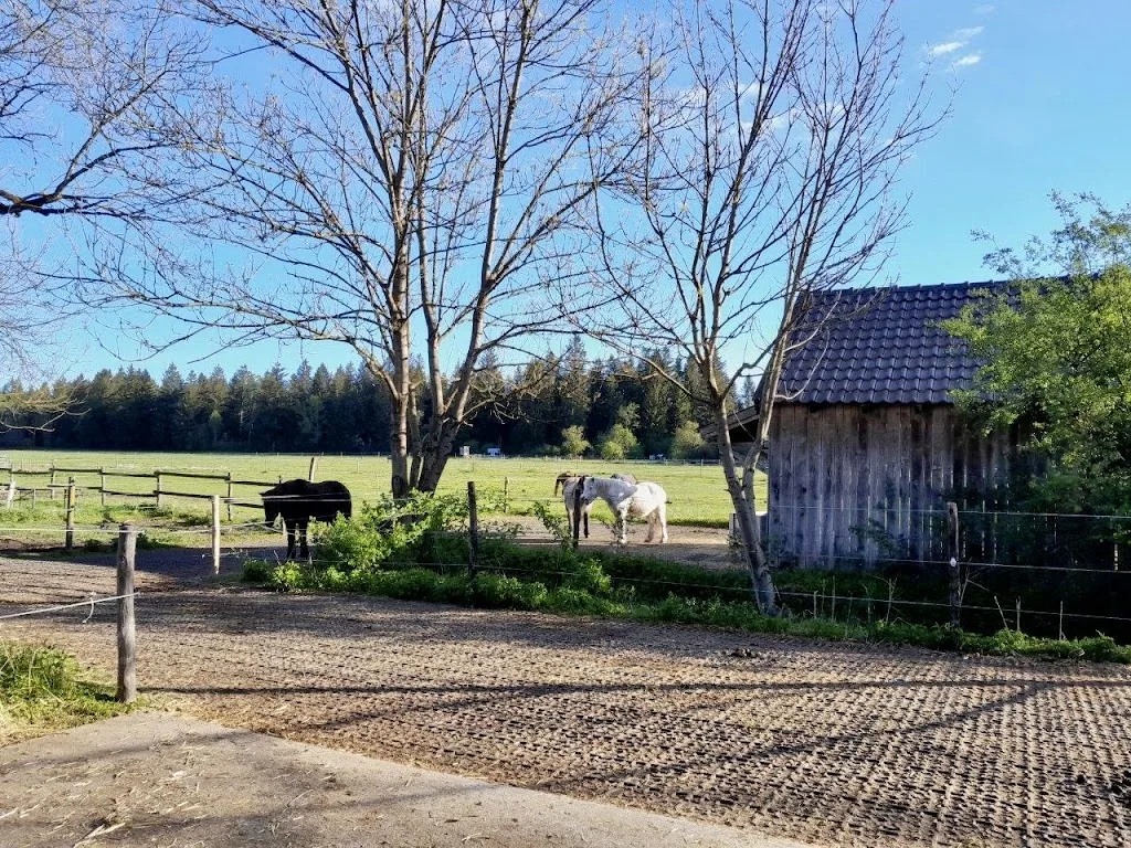 Pferdehof Rothmühle - photo 3