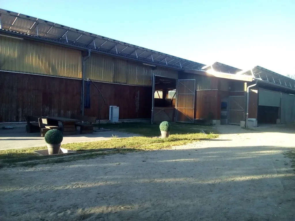 Heidehof Dittlingen – Pferdepension & Offenstall - photo 3
