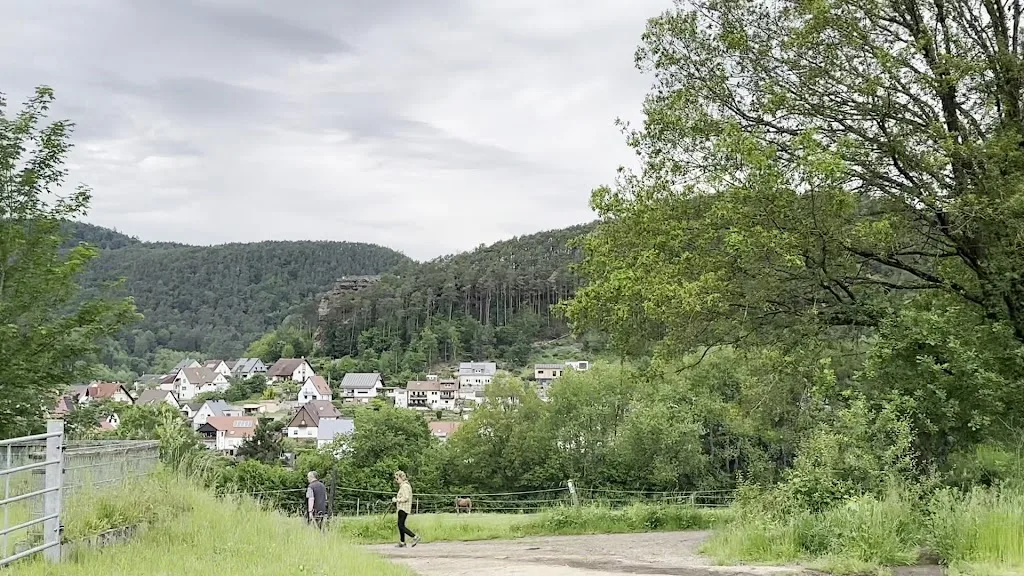 Gestüt Erfweiler - Foto 2