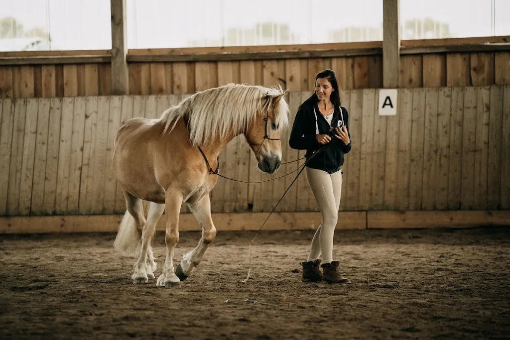 Lichtpferde Reittherapie & Pferdeverhaltenstherapie - Foto 1
