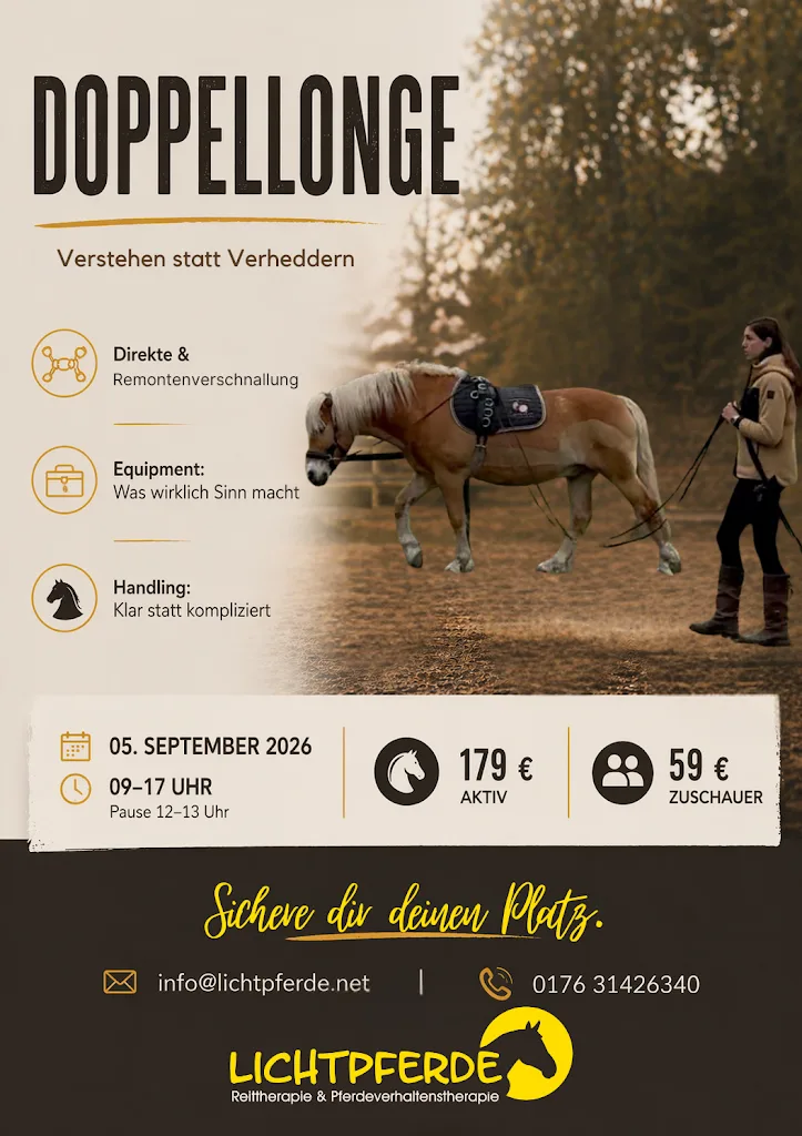 Lichtpferde Reittherapie & Pferdeverhaltenstherapie - Foto 3