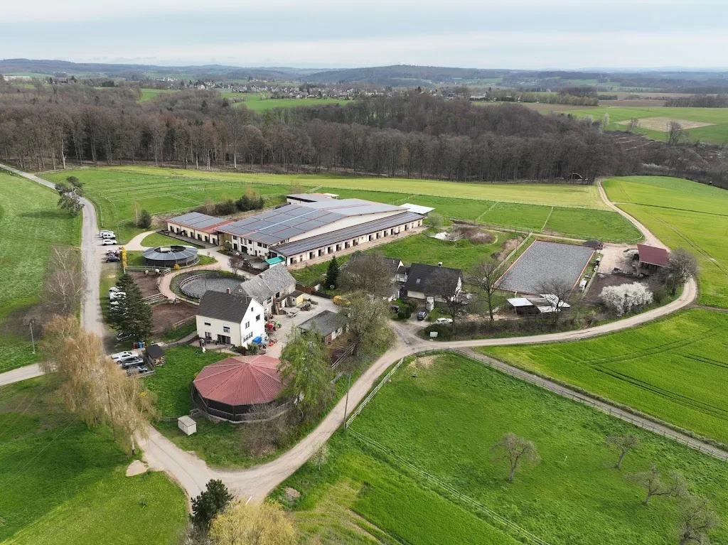 Reitanlage Lutz - Reithalle & Paddock-Boxen - Foto 2