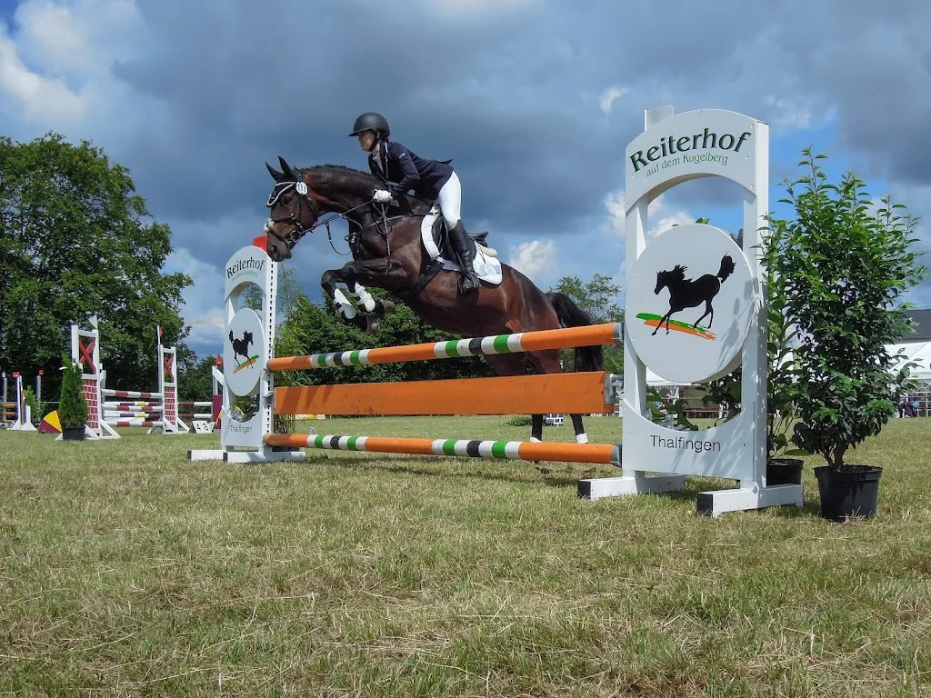 Reitanlage am Ried - photo 2