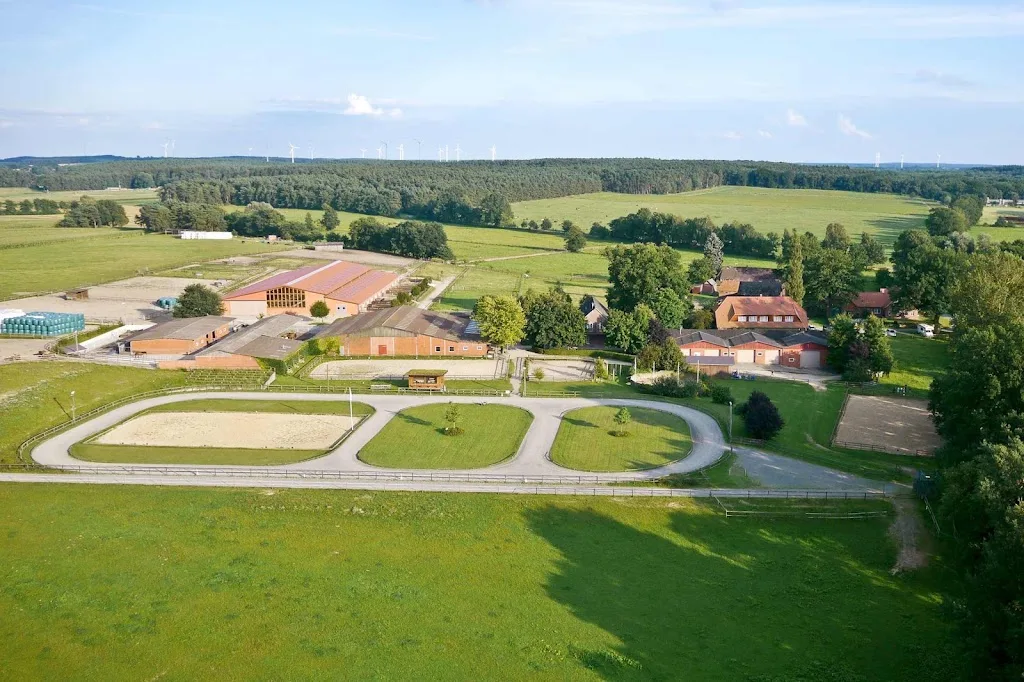 Islandpferdehof Bornbach, Weideland auf der Düpe - Foto 3
