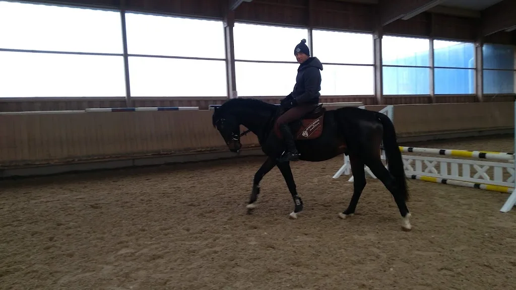 Reitanlage Uwe Friederichs, Lärchenhof - Foto 2