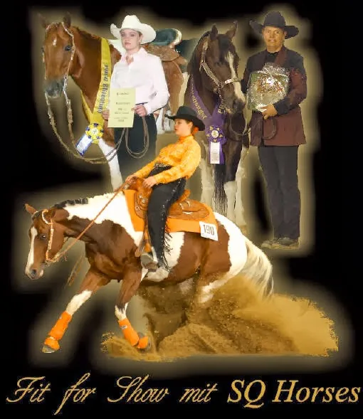 Stossberg Quality Horses - photo 2