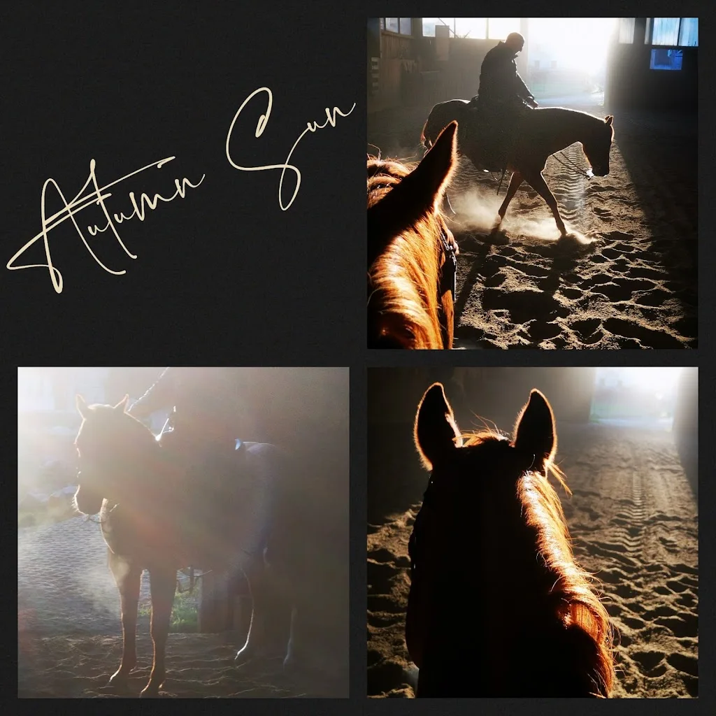 24/7 Horses - photo 1