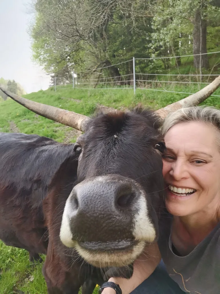 24/7 Horses - photo 2