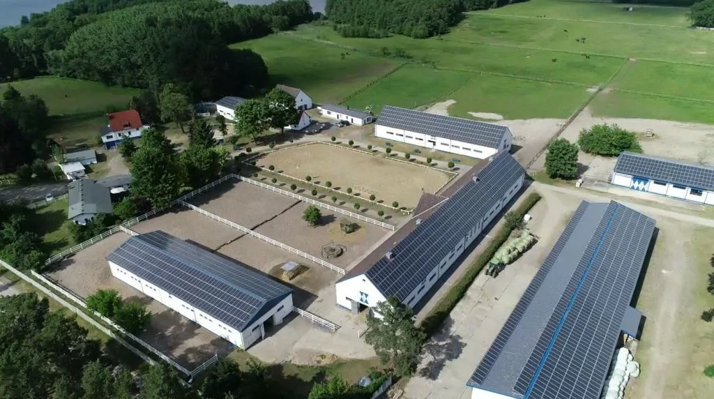 Hope Ranch / Zucht, Pferdeausbildung Brandenburg - photo 1
