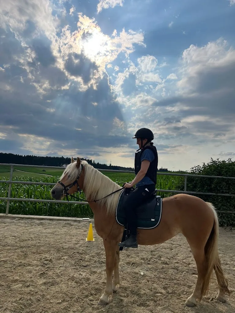 Sanfte Hilfe(n) - Foto 2