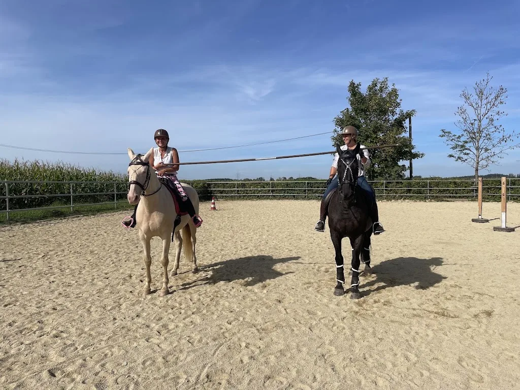 Sanfte Hilfe(n) - Foto 3