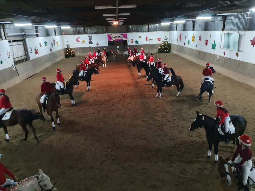 Reitanlage Binder - photo 2