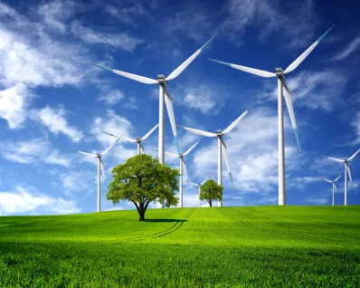 Erneuerbare Energien für Mensch und Tier - Foto 3