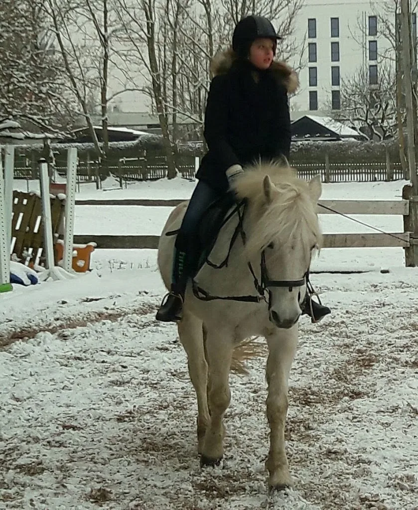 Reitstall Aubing - Foto 2