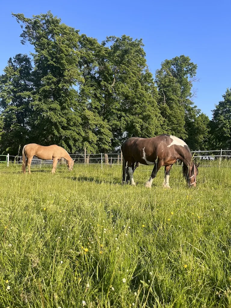 Julias Farm - photo 1