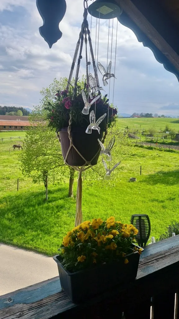 Reitanlage Weberhof - Foto 1