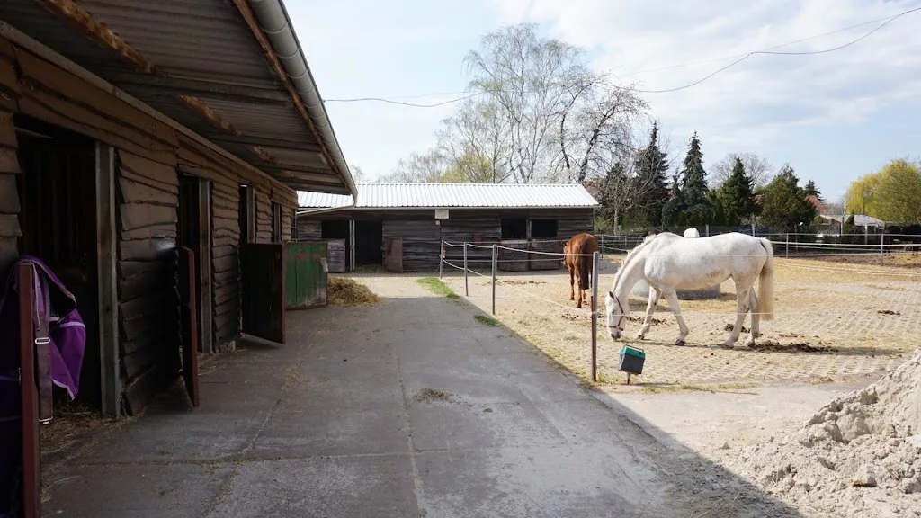Uwe Beitel - photo 2