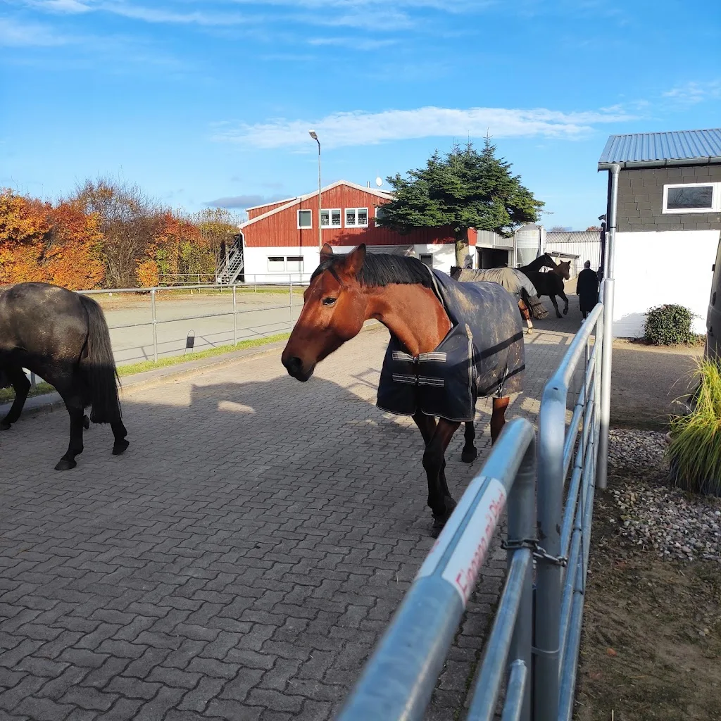 Katenlandshof - photo 2