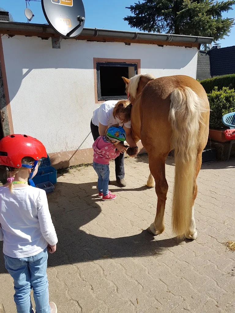 Reitanlage lueckerath - photo 1