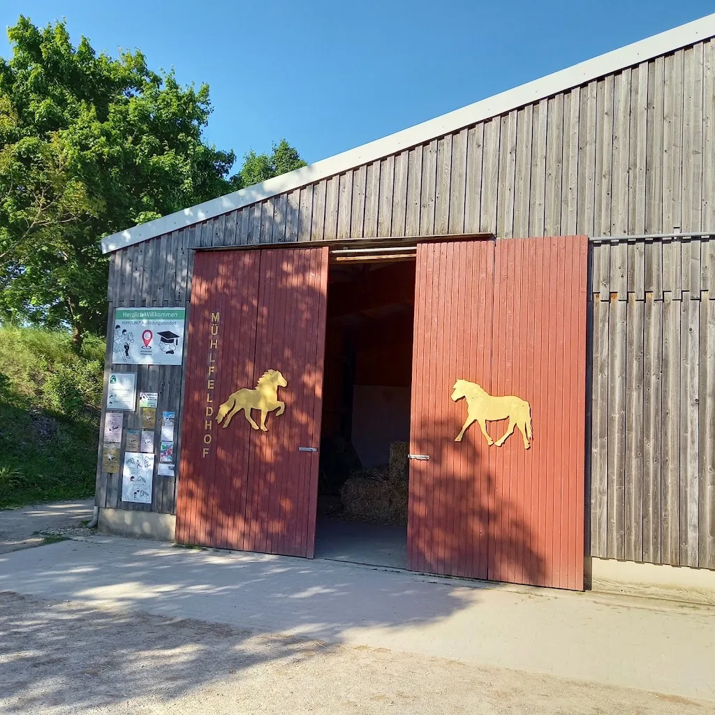 Hippolini am Hohberg - Kinderreitschule in Bruchsal / Heidelsheim - Foto 2