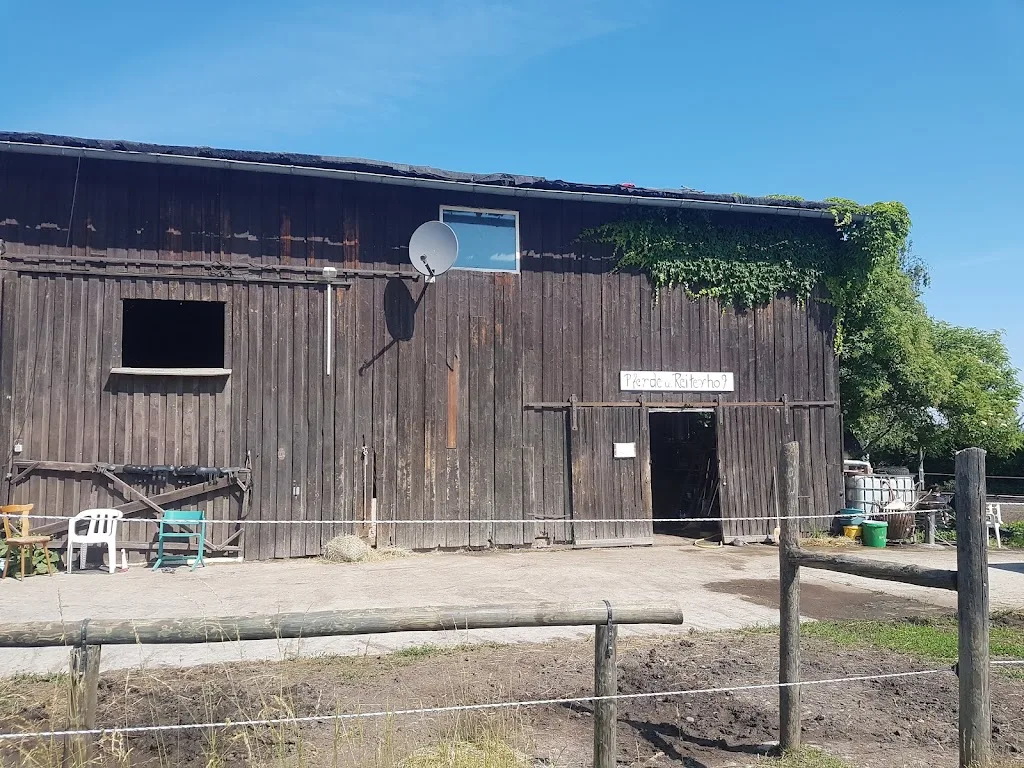 Pferdehof Petzold - photo 2