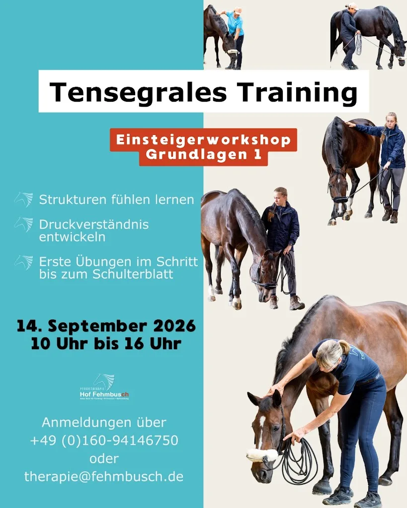 Dressurpferde Fehmbusch - Foto 3